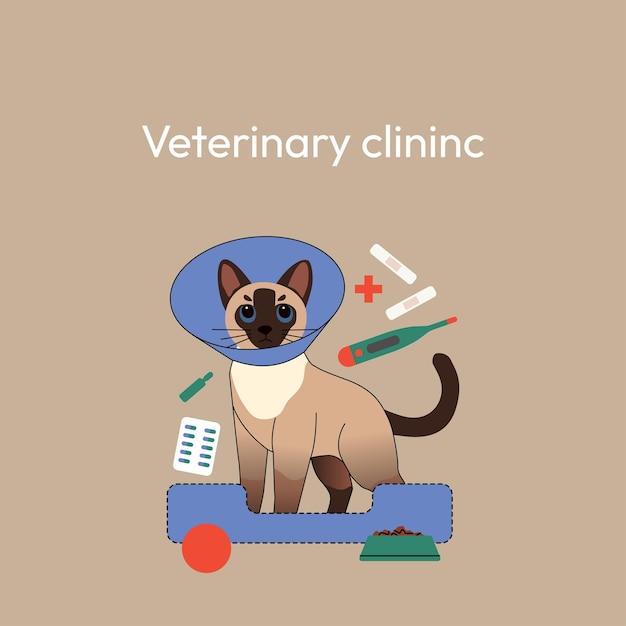 Una ilustración de una clínica veterinaria con un gato siamés con un cono protector de pie en una mascota