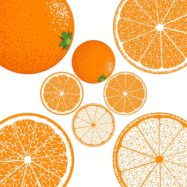 Ilustración de cocina con fruta naranja fresca