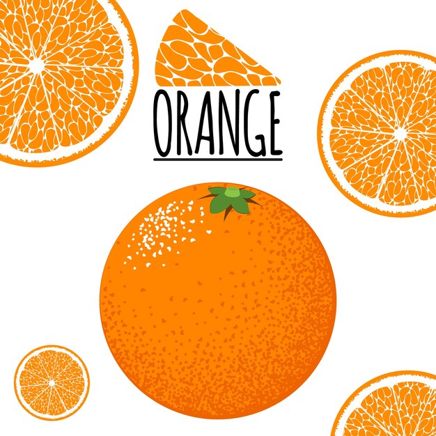 Ilustración de cocina con fruta naranja fresca