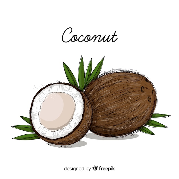 Ilustración coco dibujada a mano