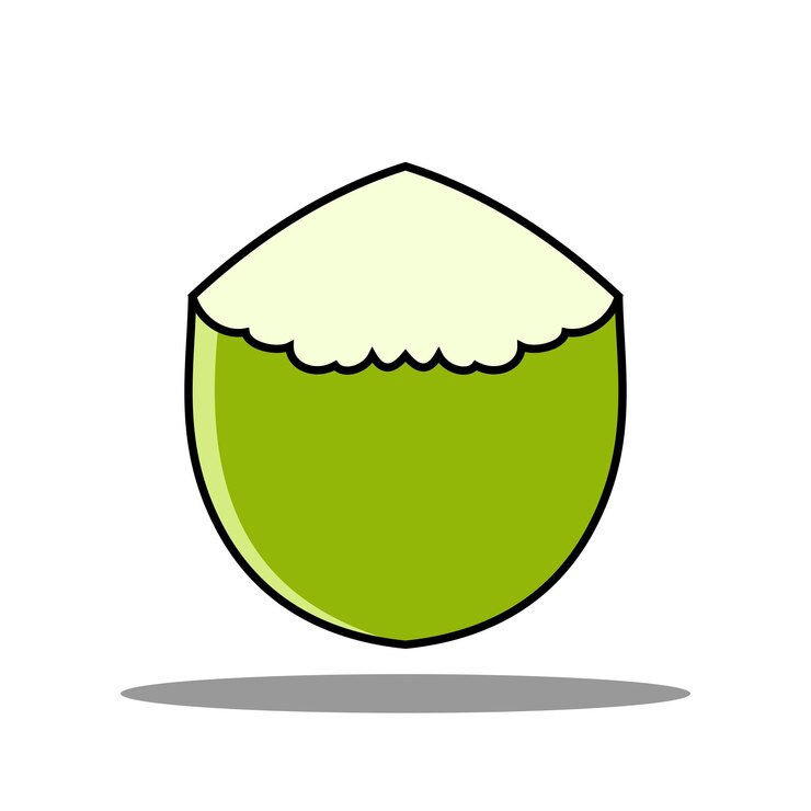 Vector ilustración de un coco joven
