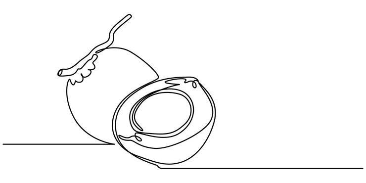 Vector ilustración de coco de una línea arte lineal continuo coco conjunto de frutas dibujadas a mano coco