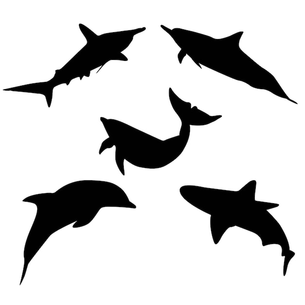 Vector ilustración con colección de delfines aislada sobre fondo blanco siluetas negras de dolpinsweb