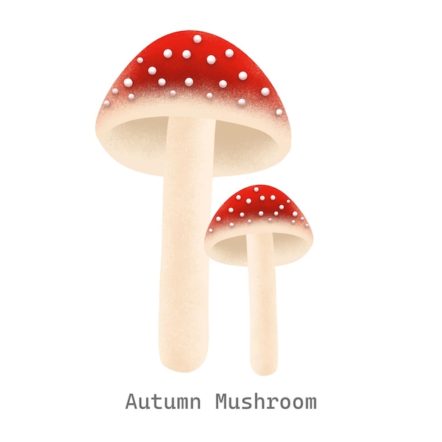 Ilustración de la colección de setas de otoño