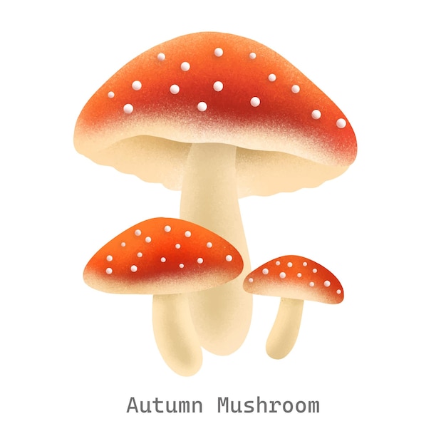 Ilustración de la colección de setas de otoño
