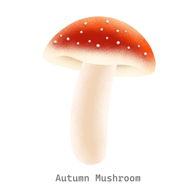 Ilustración de la colección de setas de otoño