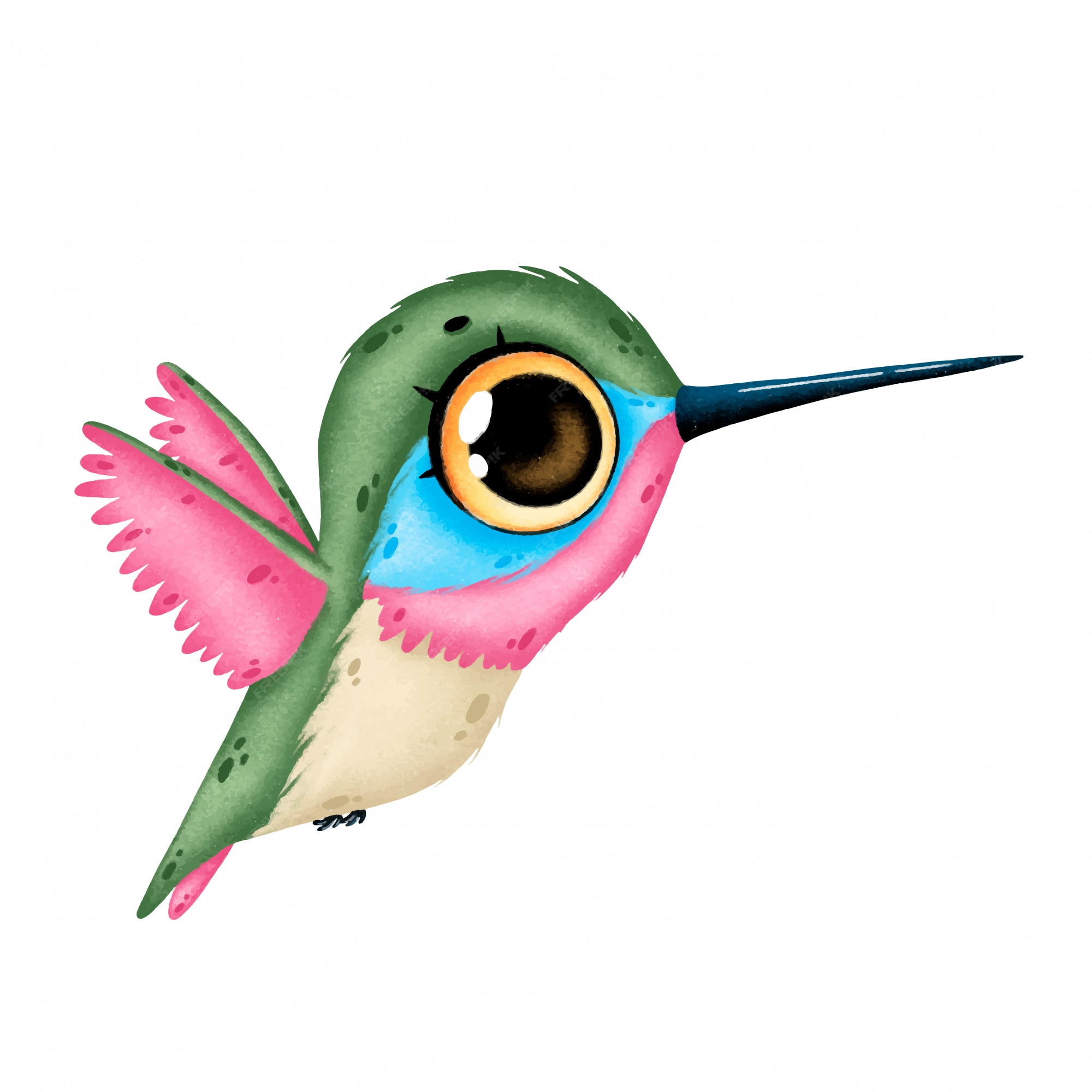 Ilustración de un colibrí volador de dibujos animados lindo aislado | Vector Premium Ilustración de un colibrí volador de dibujos animados lindo aislado | Vector Premium
