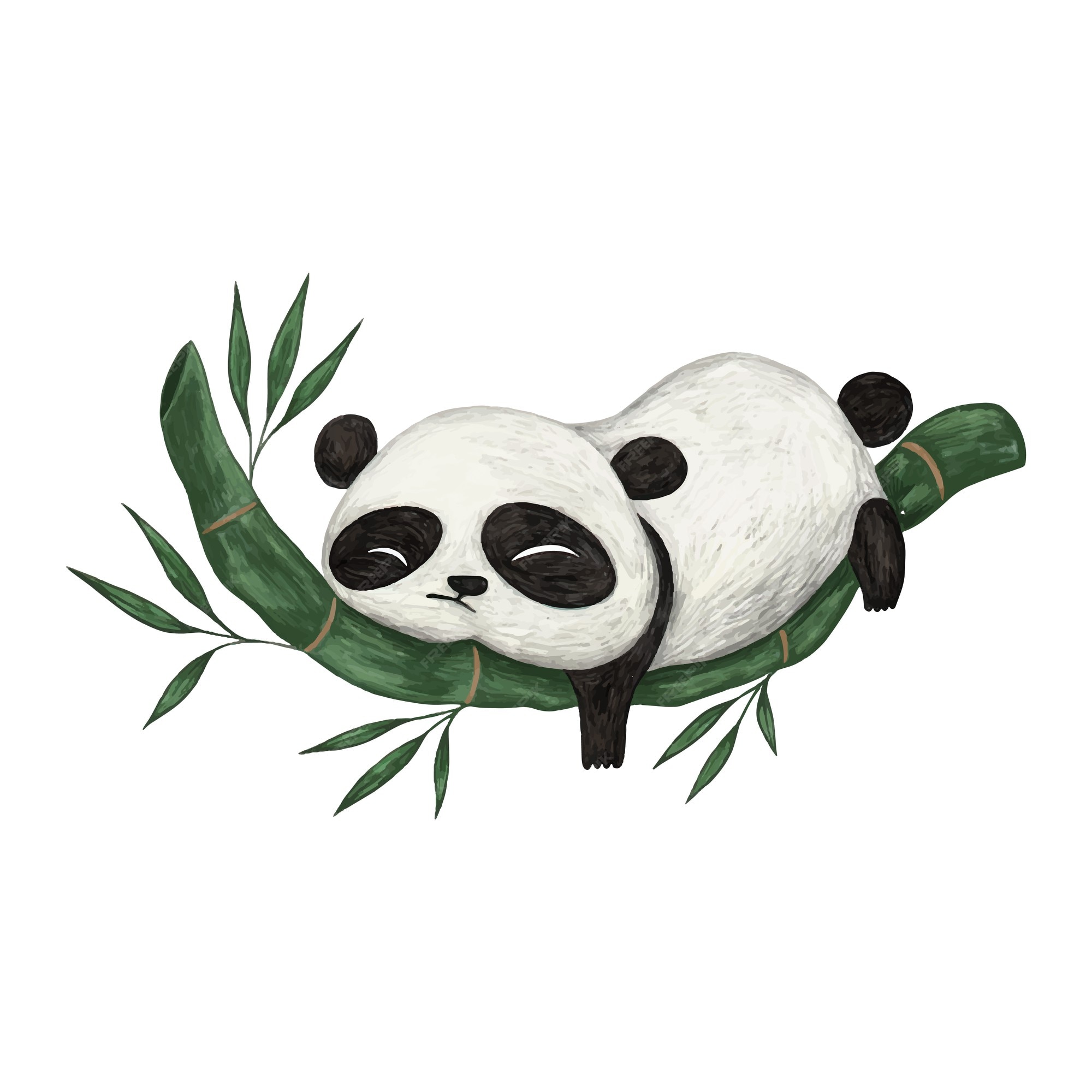 Ilustración de color lindo lápiz panda | Vector Premium