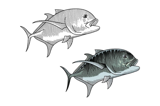 Ilustración a color del pez Trevally gigante en estilo de grabado