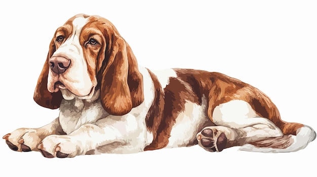 Ilustración en color de la raza de perro Basset Hound Arte vectorial