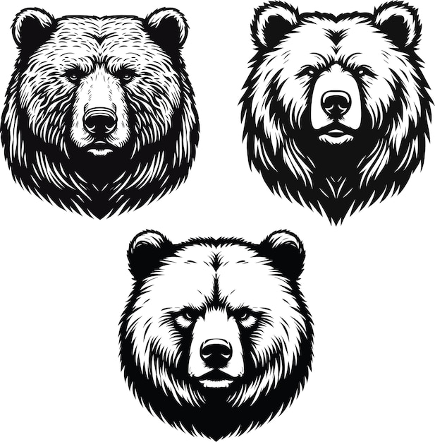 Ilustración a un color de tres cabezas de oso