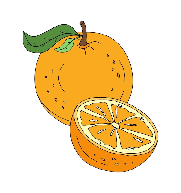 Ilustración de color de vector lineal de garabato naranja aislado en blanco