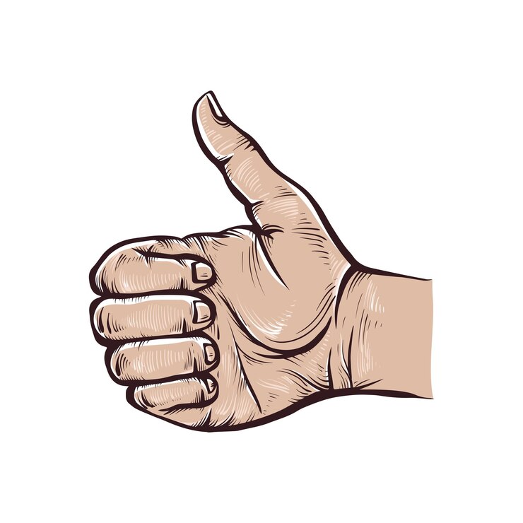 Vector ilustración de color de vector vintage de mano en estilo de signo similar grabado