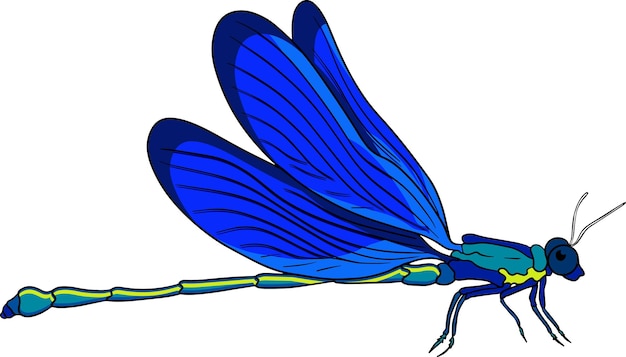 Vector ilustración coloreada de escarabajos. errores de ilustración detallados. vector, pintura dibujada a mano.