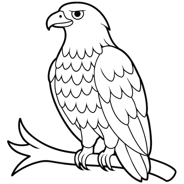 Ilustración para colorear la página del libro del águila 25