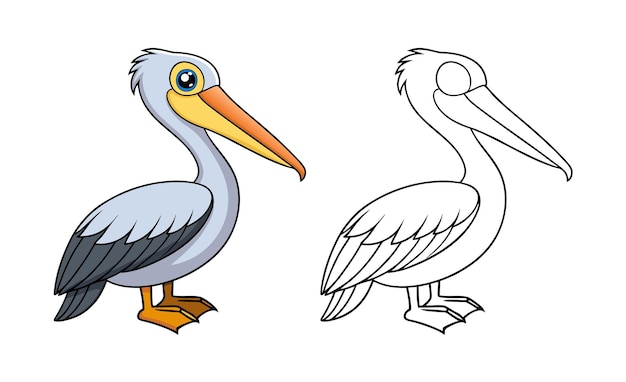 Ilustración para colorear del pelícano de dibujos animados
