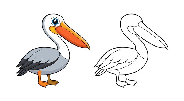 Ilustración y coloreo de pelícanos de dibujos animados
