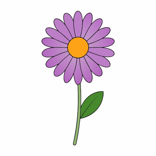 Ilustración colorida de la flor de aster y el vector de la flor
