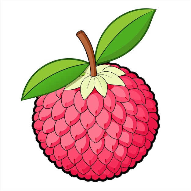 Ilustración colorida de la lechuga