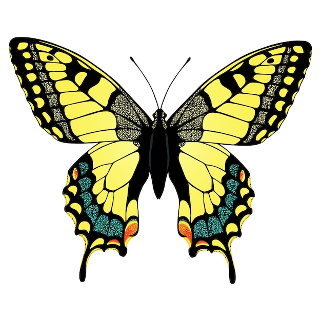 Ilustración colorida de la mariposa machaon