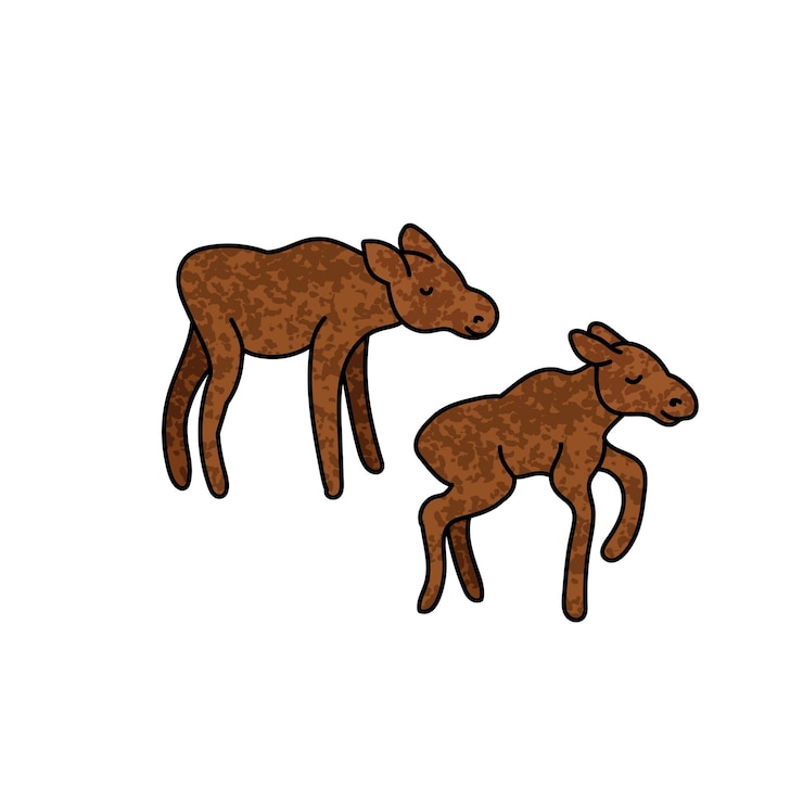 Vector ilustración colorida de terneros de alce
