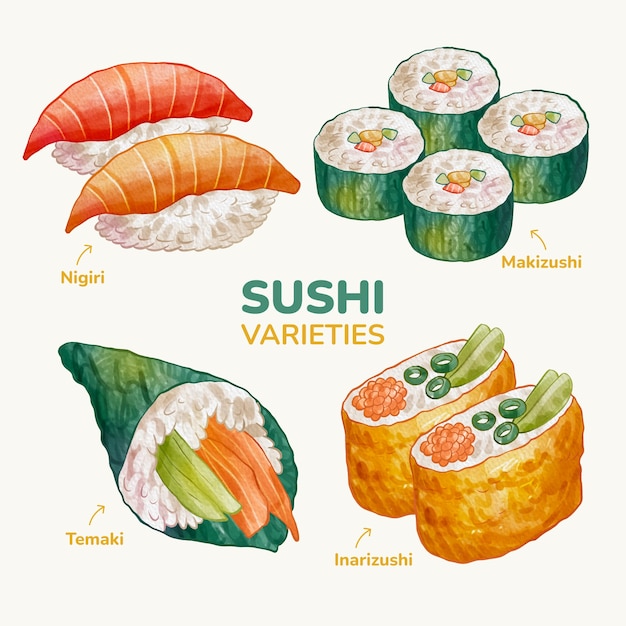 Vector ilustración de comida japonesa acuarela