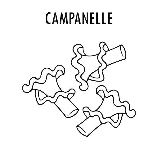 Vector ilustración de comida de pasta de campanelle dibujada a mano en vivo de la pasta italiana de torchio de macarrones