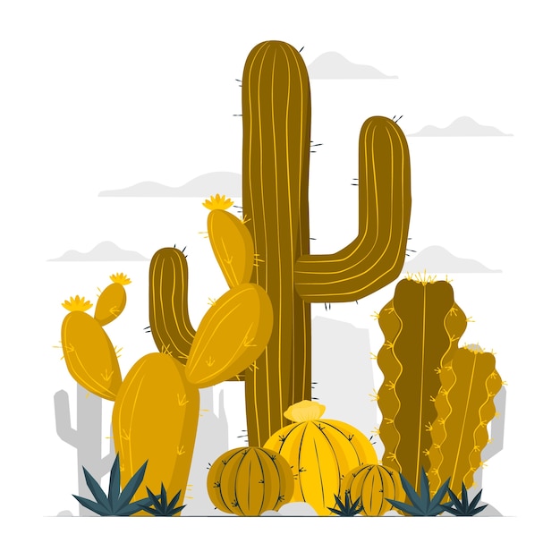 Ilustración del concepto de cactus