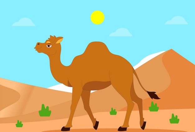 Ilustración del concepto de camello