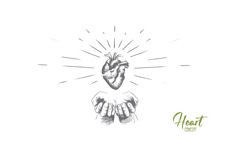 Vector ilustración del concepto de corazón