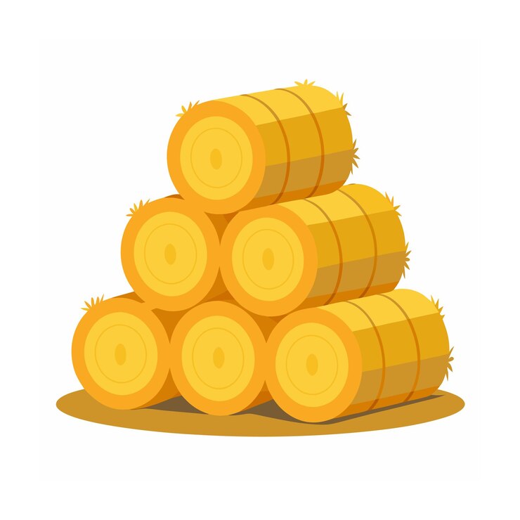 Vector ilustración del concepto del día de las gracias