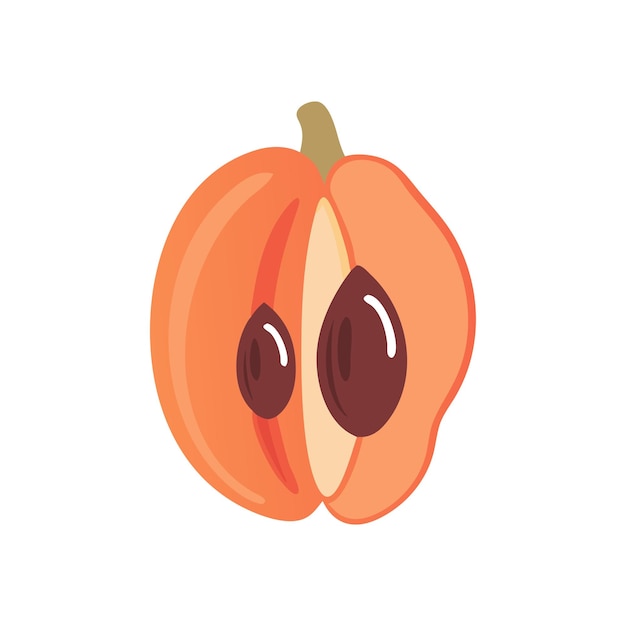 Ilustración del concepto de frutas frescas