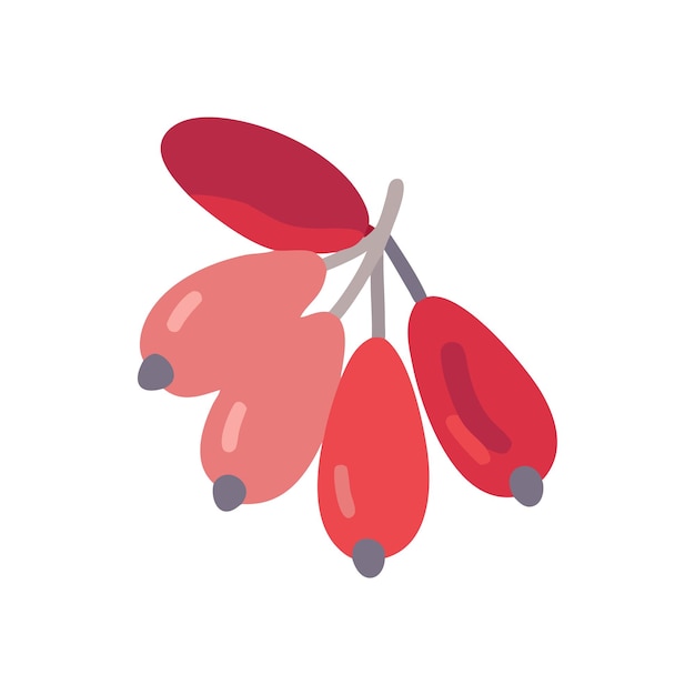 Ilustración del concepto de frutas frescas