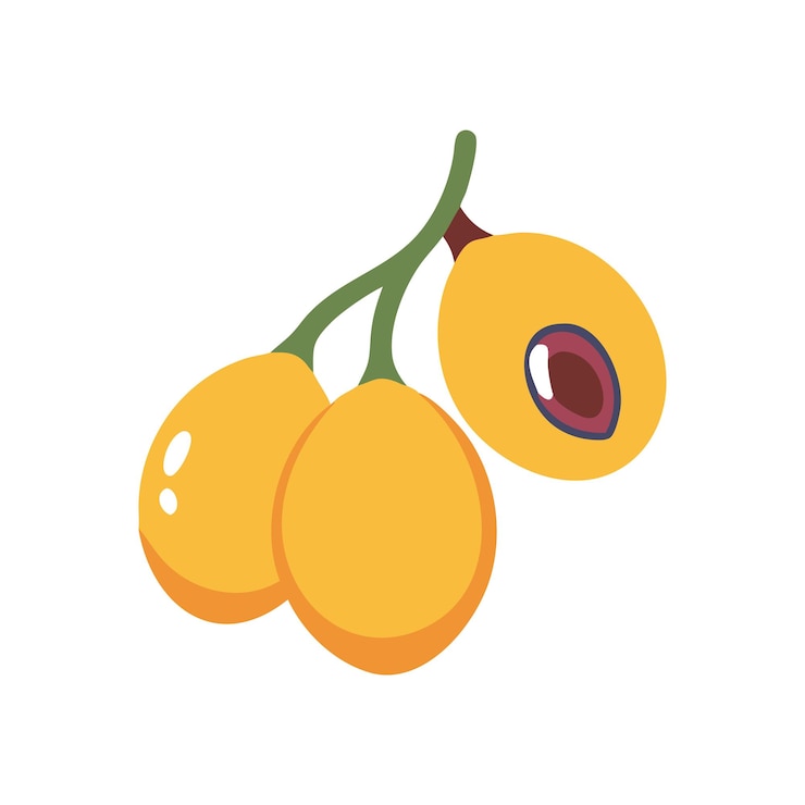 Vector ilustración del concepto de frutas frescas