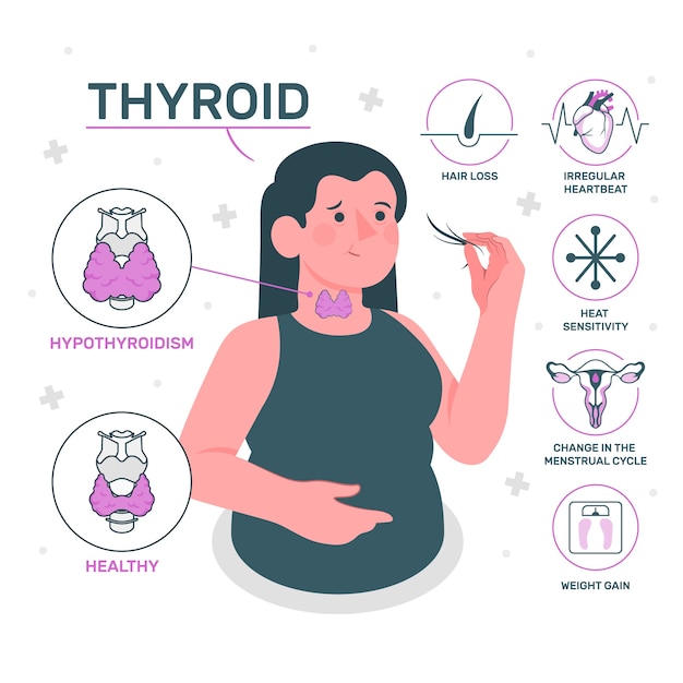 Ilustración del concepto de tiroides