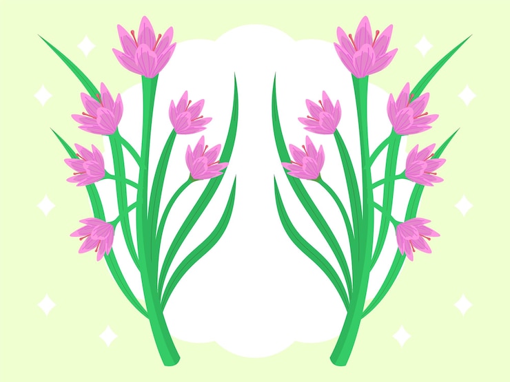 Vector ilustración conceptual de bouvardia elegante y hermosa