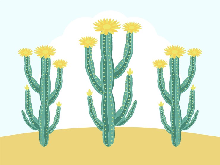 Vector ilustración conceptual del cactus elegante y hermosa