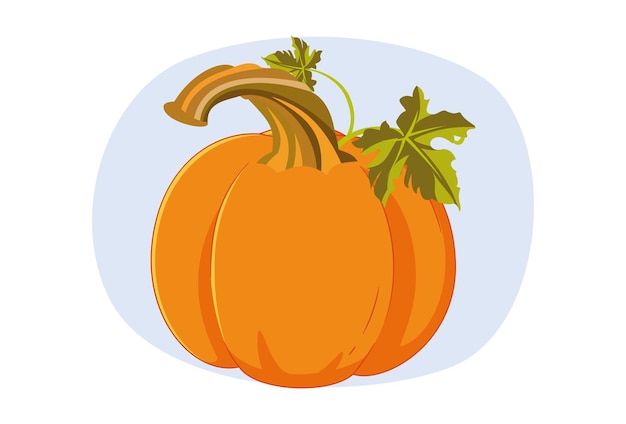 Ilustración conceptual de la calabaza elegante y hermosa