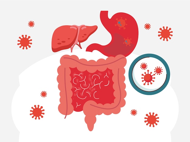 Ilustración conceptual del cáncer gastrointestinal elegante y hermosa