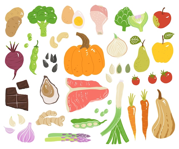 Ilustración conceptual con carne, mariscos, frutas y verduras dulces en vector sabrosa manzana, jengibre, tomate, calabaza, remolacha, zanahoria, pera y calabaza, ternera, ostra, pollo, chocolate, huevos, patata