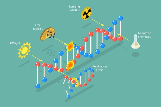 Ilustración conceptual del daño del ADN por vector plano isométrico 3D