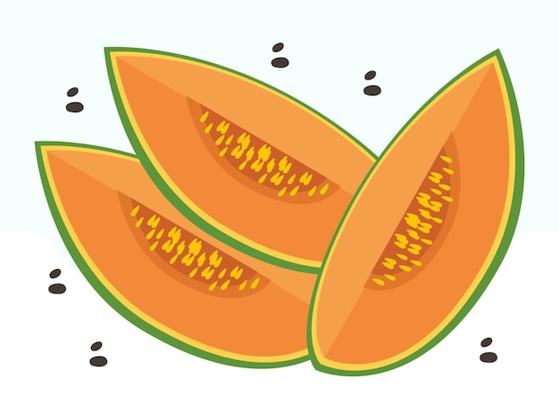 Ilustración conceptual del melón de melón elegante y hermoso
