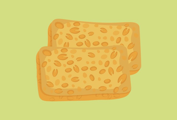 Vector ilustración conceptual de tempeh elegante y hermosa