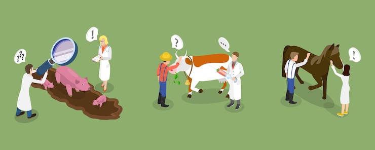 Vector ilustración conceptual de vector plano isométrico 3d del médico veterinario de la granja