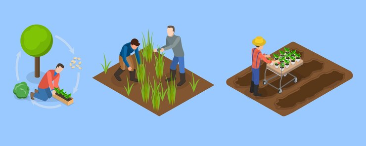 Vector ilustración conceptual de vectores planos isométricos 3d de la agricultura sostenible