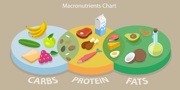 Vector ilustración conceptual de vectores planos isométricos 3d del cuadro de macronutrientes
