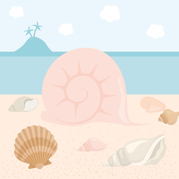 Vector ilustración de conchas y conchas marinas