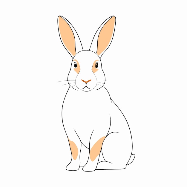 Ilustración de un conejo sobre un fondo blanco