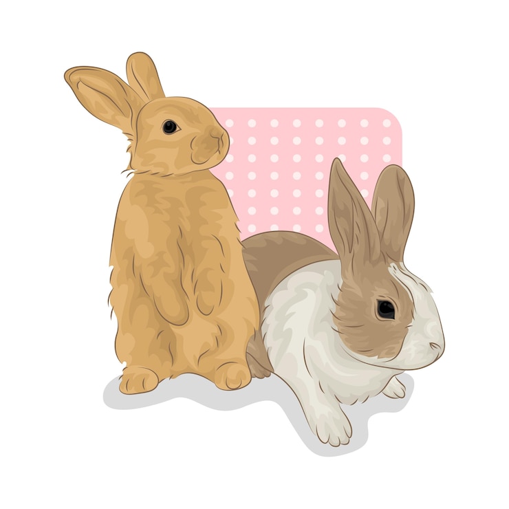 Vector ilustración de un conejo
