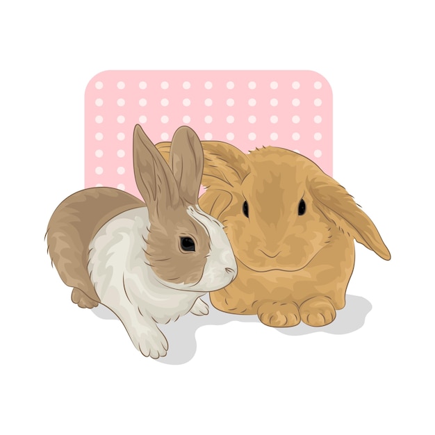 Ilustración de un conejo